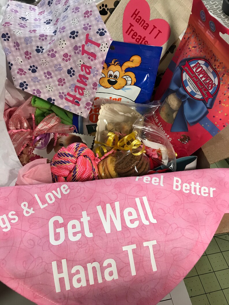 Personalized Sick Dog Gift Box Dog Get Well Basket Dog Care Etsy