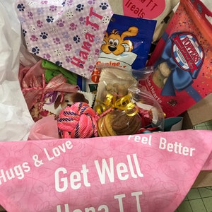 Personalized Dog Get Well Box Sick Dog Dog Get Well Basket Dog Care Package Dog Get Well Dog Get Well Box Sick Dog Gift Dog Get Well Soon image 5