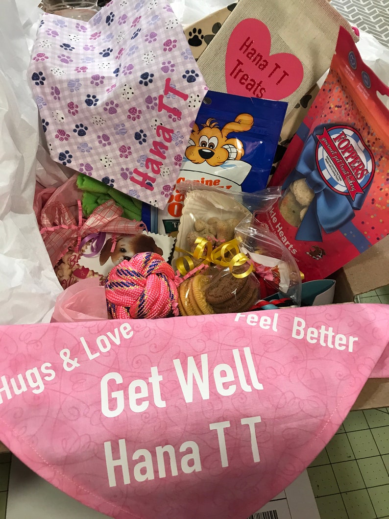 Personalized Dog Get Well Box Sick Dog Dog Get Well Basket Dog Care Package Dog Get Well Dog Get Well Box Sick Dog Gift Dog Get Well Soon image 5