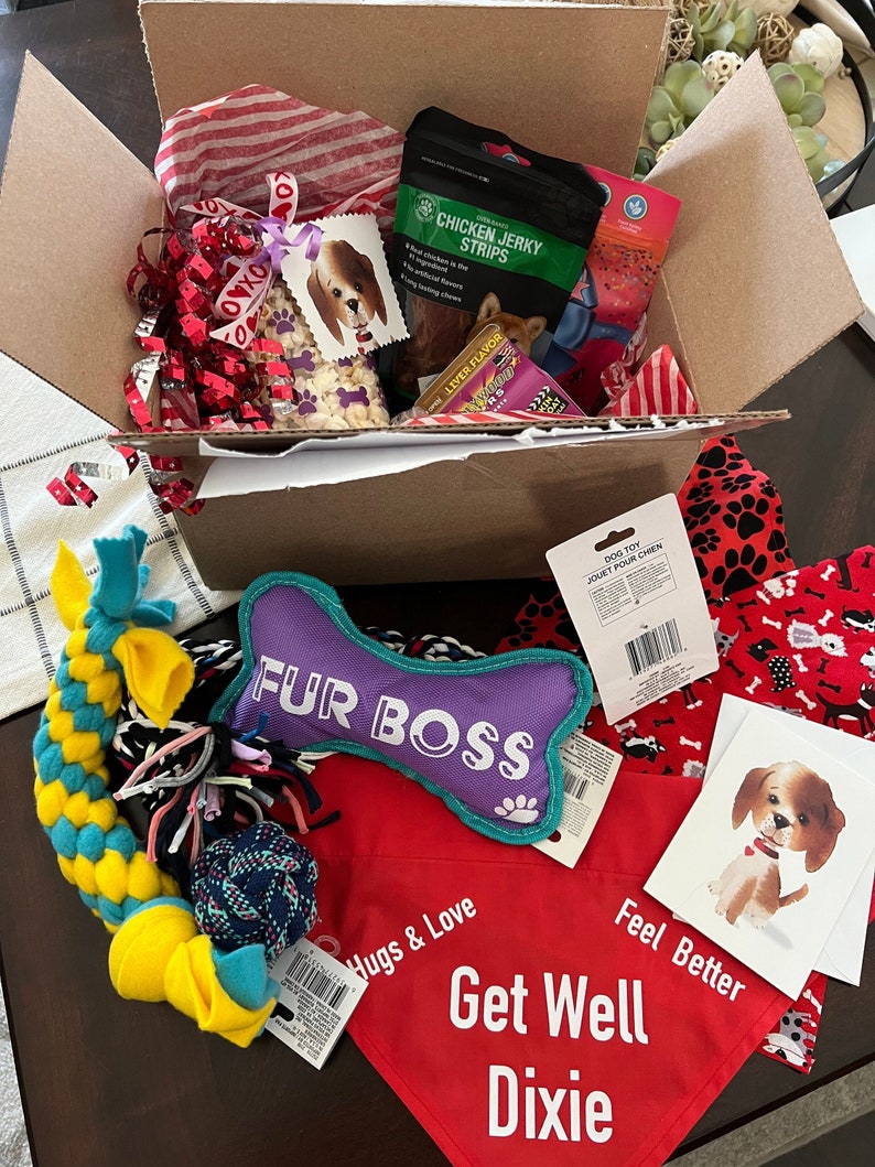 Personalized Sick Dog Gift Box Dog Get Well Basket Dog Care Etsy