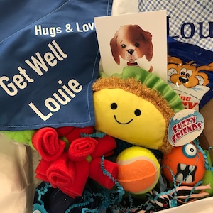 Personalized Dog Get Well Box Sick Dog Dog Get Well Basket Dog Care Package Dog Get Well Dog Get Well Box Sick Dog Gift Dog Get Well Soon image 1