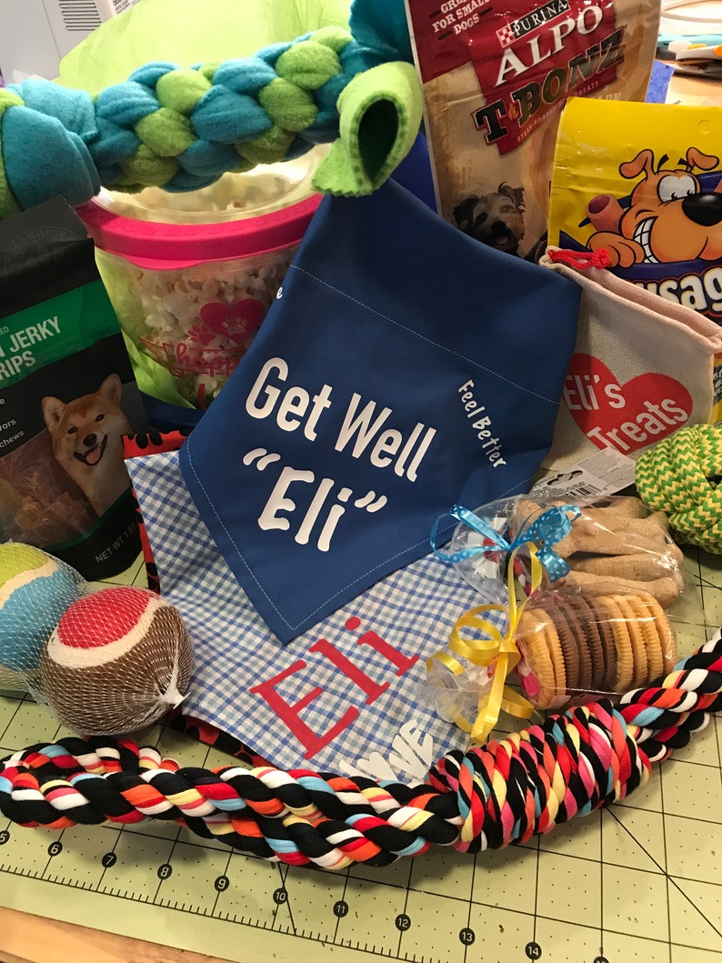 Personalized Dog Get Well Box Sick Dog Dog Get Well Basket Dog Care Package Dog Get Well Dog Get Well Box Sick Dog Gift Dog Get Well Soon image 4