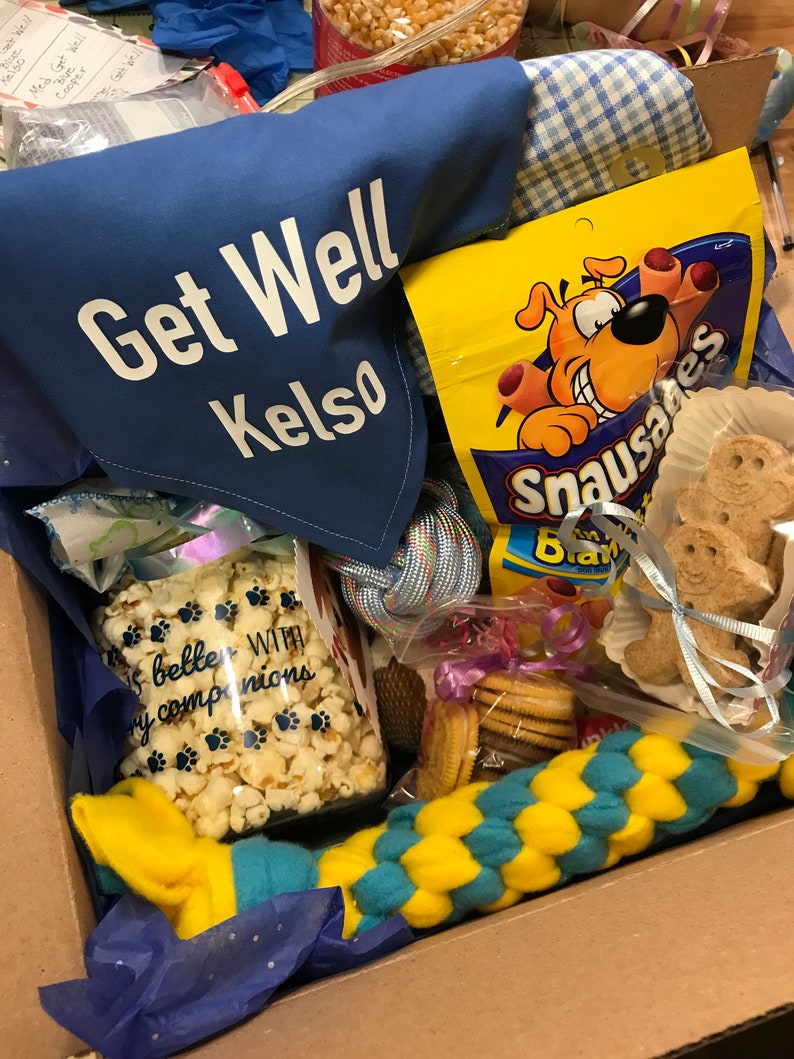 Personalized Dog Get Well Box Sick Dog Dog Get Well Basket Dog Care Package Dog Get Well Dog Get Well Box Sick Dog Gift Dog Get Well Soon image 6