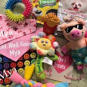 Dog Gift Box New Puppy Gift Box Dog Gift For Dog New Dog Gift Basket New Dog Pac New Puppy Gift Basket