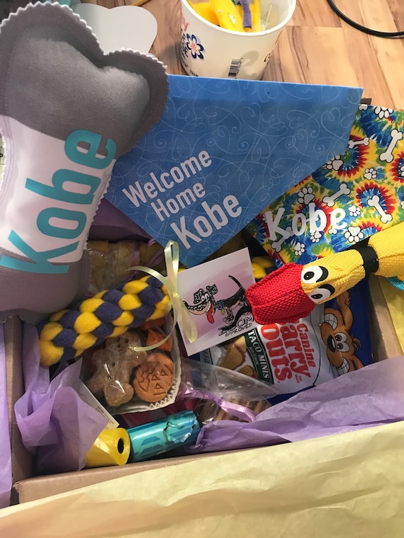 Personalized New Puppy Gift Box New Dog Gift Basket Gift Personalize Dog Gift for Dog Gift for New Dog New Puppy Gift Bag New Dog Etsy