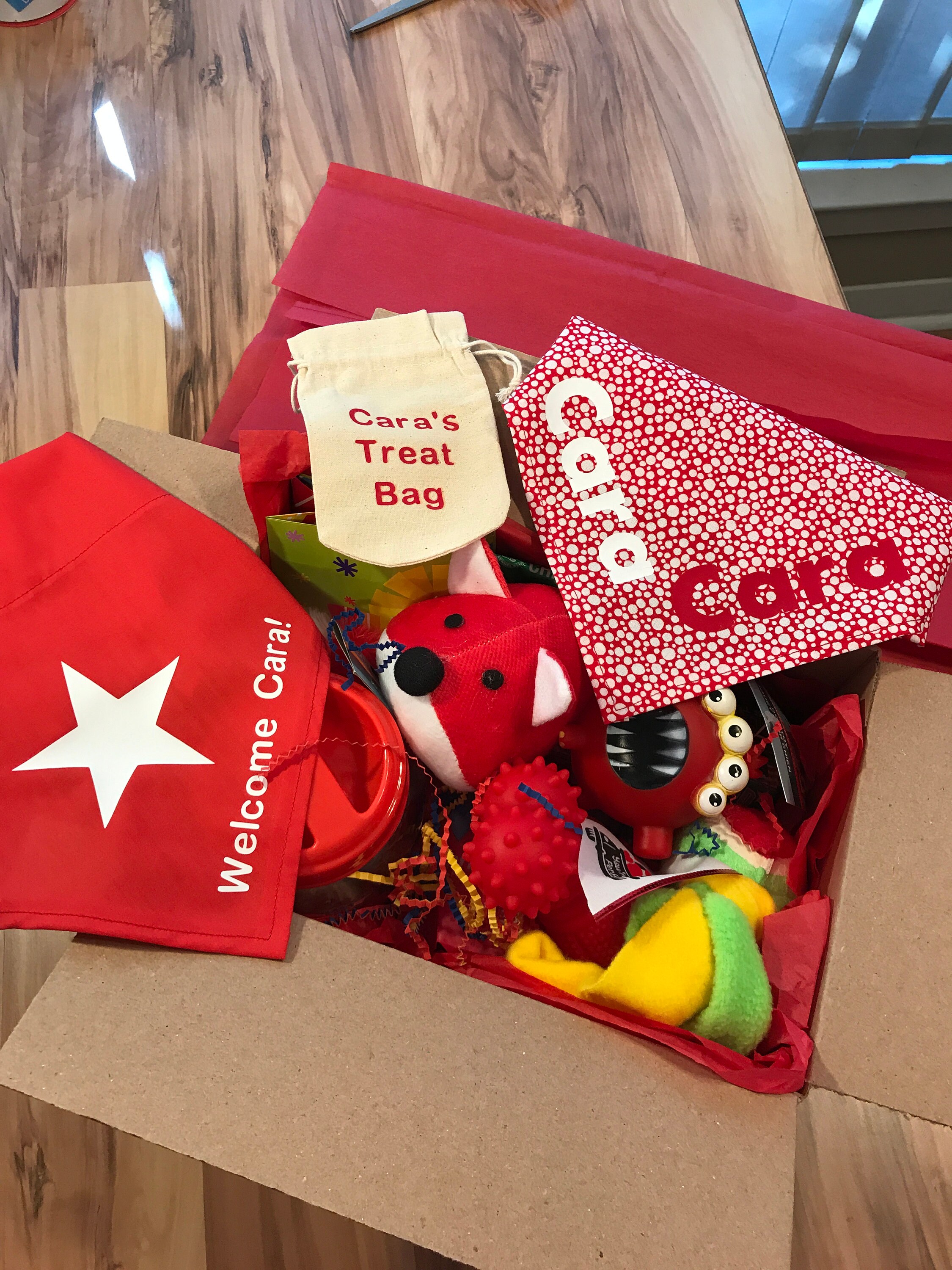 Personalized New Puppy Gift Box New Puppy Gift Pack New Puppy Etsy