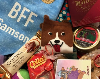 Dog and Owner Gift Box Dog and Owner Gift Basket Sick Dog Gift Box Dog Sympathy Gift Box Dog Get Well Box Sick Pet Gift Box Pet Gift Dog