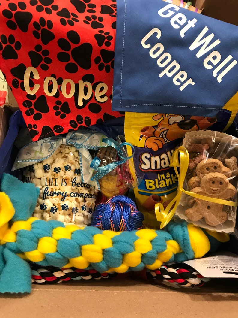 Personalized Dog Get Well Box Sick Dog Dog Get Well Basket Dog Care Package Dog Get Well Dog Get Well Box Sick Dog Gift Dog Get Well Soon image 3