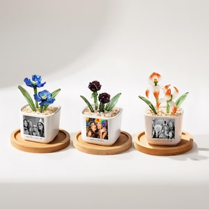 May include: Three small white square planters with glass flower sculptures, each on a wooden coaster. The planters feature black and white photos and text. The flowers are blue, burgundy, and orange and white.