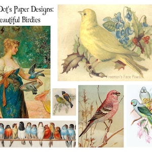 Wunderschöne Birdies 6 Seiten Ephemera für Junk Journals, Card-Making, Scrapbooks, Framing