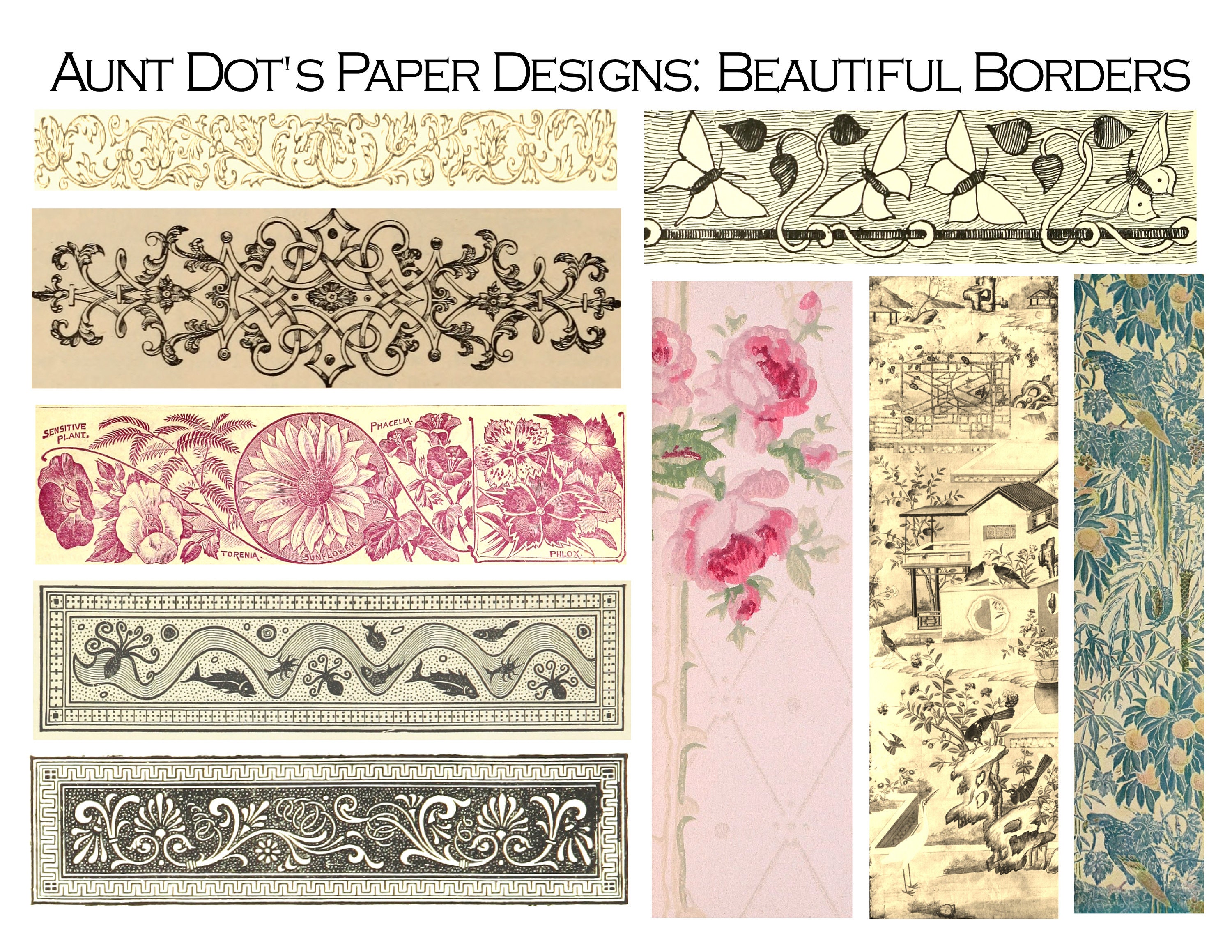 Beautiful Border Designs For Paper