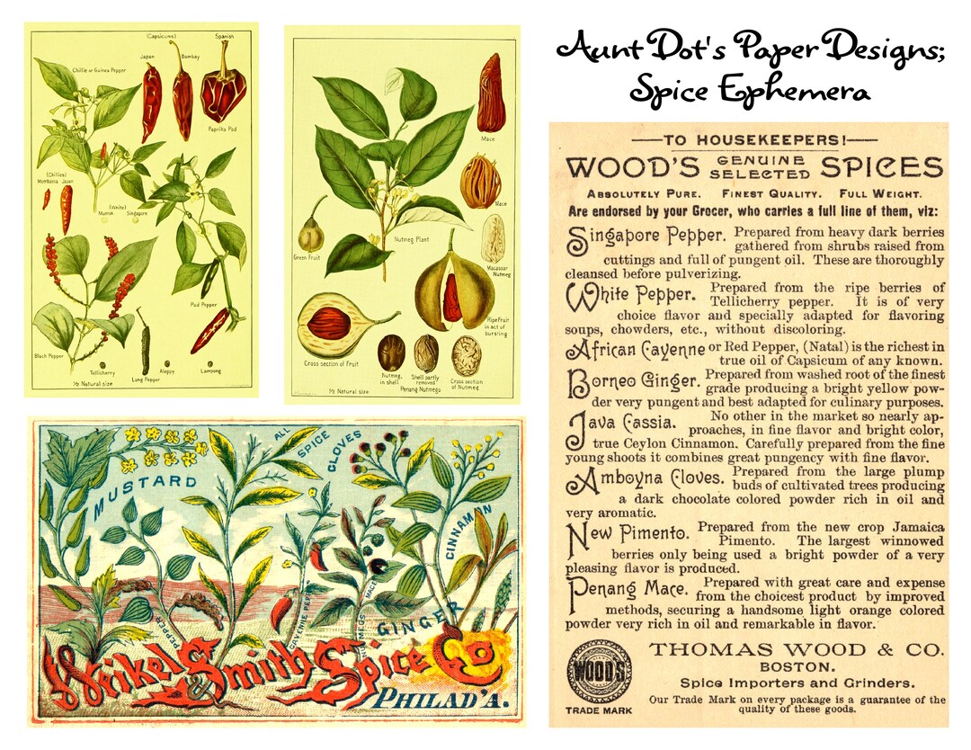 Vintage Spices Ephemera 5 Pages of Images for Journals Etsy