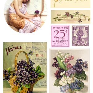 May include: A collage of vintage images featuring violets. Includes a painting of a woman with violets, floral illustrations, a basket of violets, and a vintage advertisement for violets. Text includes "The Violet is here" and "A Dream of Violets."