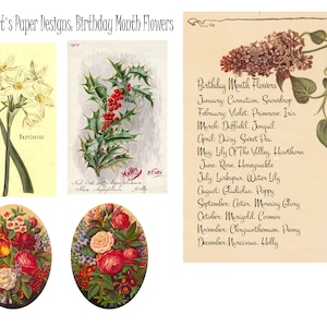 Geboortemaand bloemen 4 pagina's met vintage bloemenafbeeldingen voor junk journals, tijdschriften, kaarten maken, kunstprojecten en meer