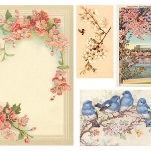 Efémera em flor de cerejeira etérea 10 páginas de imagens vintage para diários indesejados, planejadores, criação de cartões e projetos de arte