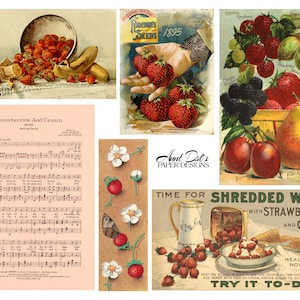 Erdbeer Ephemera 7 Seiten Vintage Bilder für Junk Journals und Papercrafts