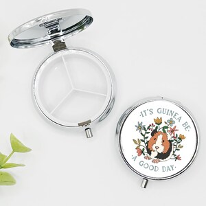 Guinea Pig Pill Box, Pill Case, Fully Pill Holder, Pill Organizer, Funny Pill Case