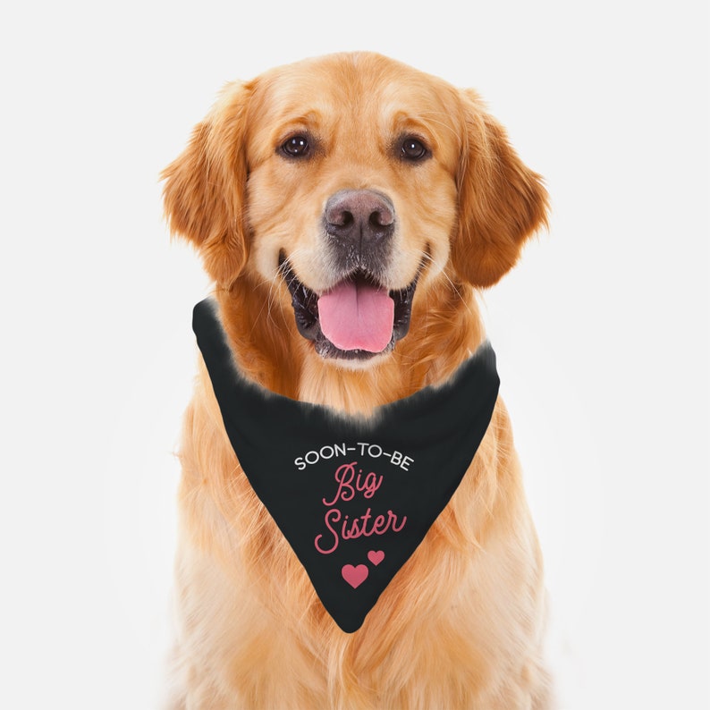 Pregnancy Announcement Dog Bandana Dog Pregnancy Announcement Etsy
