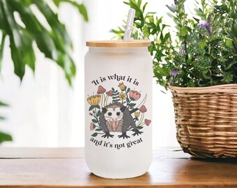 Possum Glass Can Tumbler with Lid & Straw: Anxious Opossum Mug, Iced Coffee Tumbler