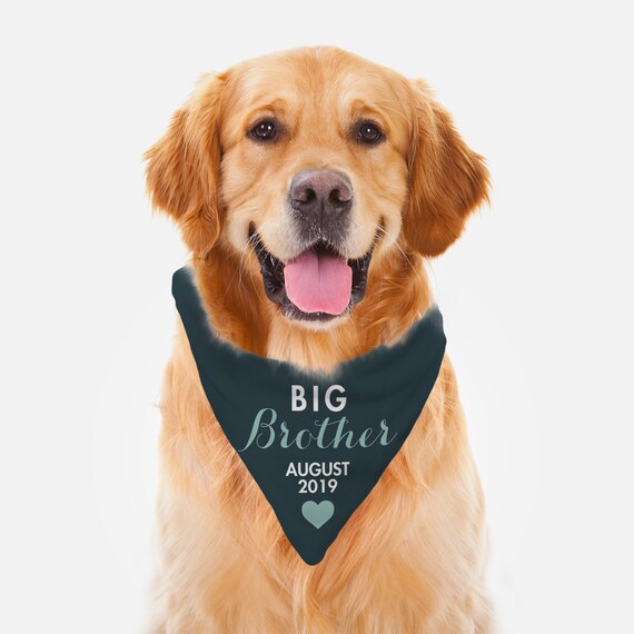 big brother dog handkerchief