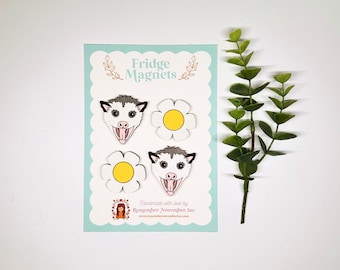Possum Magnets, Opossum Fridge Magnets Cute Fridge Magnets, Possum Gifts, Set of 4