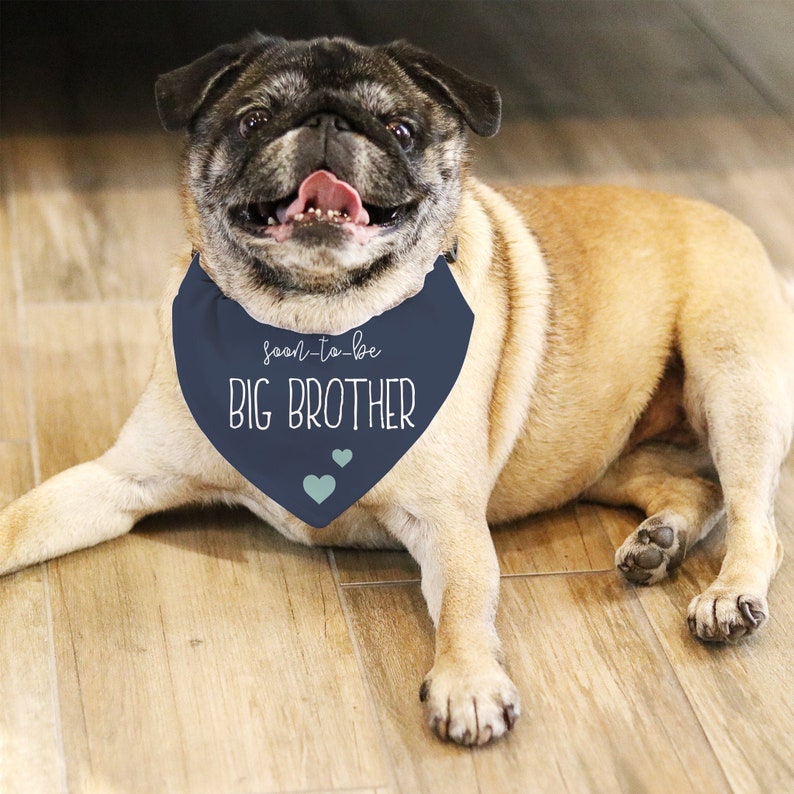 Big Brother Dog Bandana Pregnancy Announcement Dog Bandana Collar Pet Bandana Dog Big Brother Bandana Big Brother Dog Bandana Photo Prop