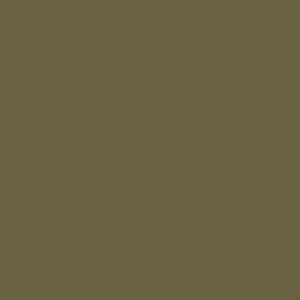 May include: Solid olive green background. The color is a muted, earthy tone, reminiscent of military uniforms or natural foliage. The image is a simple, single-color backdrop.