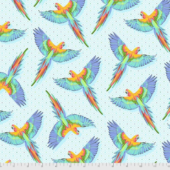 Daydreamer - Macaw Ya Later in Cloud Daydreamer - Macaw Ya Later in Cloud
