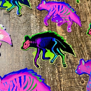 May include: A collection of colorful hyena stickers with a unique design. The stickers feature a hyena silhouette with a skeleton overlay, in shades of pink, blue, green, and black. The stickers are on a wooden surface.