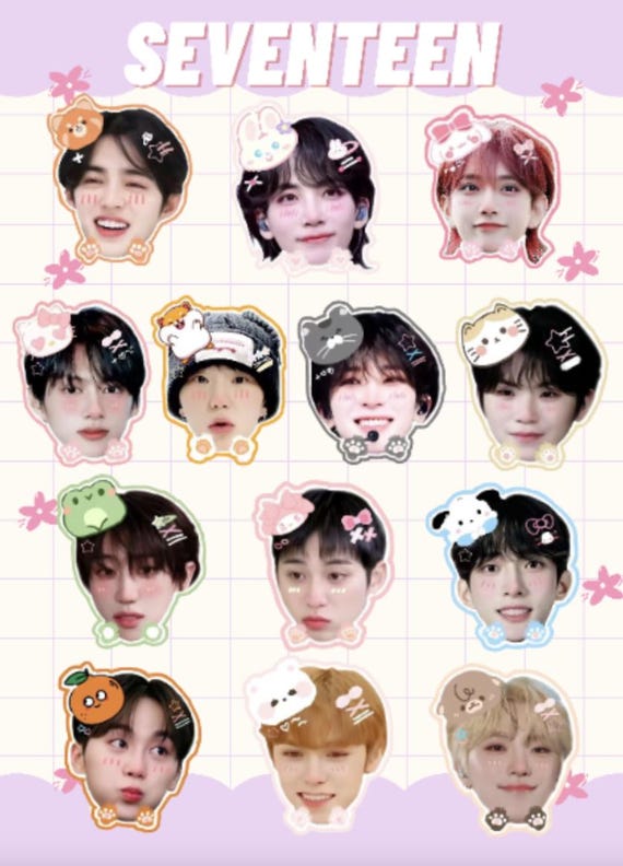 ステッカー　オーダー　EXO NCT seventeen セブチ BTS 車 SEVENTEEN Kpop Stickers | Full Member Set | 2 Sheets | Cute