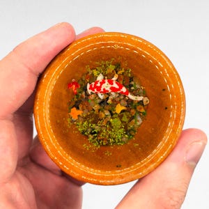 Handgemachter japanischer Koi Fischteich in einer Mini-Holzschale entzückende 3D Harz Kunst für Geschenke, Andenken, Haus-, Bürodekoration - Kaufen Sie 2, erhalten Sie 1 gratis