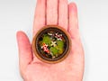 Adorable Realistic Koi Fish in a Miniature Wood Teacup, Handmade Lifelike Resin Art for Gifts, Keepsake, Home, Office Decoration