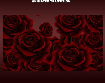 Vintage Gothic Rose Animated Stinger Transition Twitch Overlay Package, Floral Stream Graphics, Luxury Theme, Feminine Overlay, Cozy Overlay