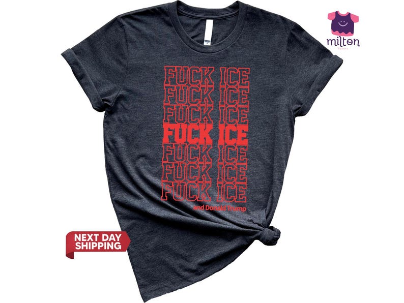 Abolish Ice Shirt, T-shirt Fuck Ice, Anti-Trump, T-shirt anti manifestation contre la GLACE, T-shirt de déclaration politique, Militant des droits humains, Justice sociale image 3