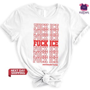 Abolish Ice Shirt, T-shirt Fuck Ice, Anti-Trump, T-shirt anti manifestation contre la GLACE, T-shirt de déclaration politique, Militant des droits humains, Justice sociale image 1