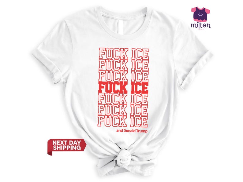 Abolish Ice Shirt, T-shirt Fuck Ice, Anti-Trump, T-shirt anti manifestation contre la GLACE, T-shirt de déclaration politique, Militant des droits humains, Justice sociale image 1