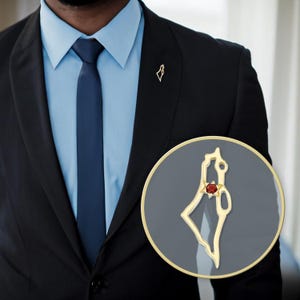 Israel Map Gold Pin, HolyGems 14k Gelbgold Israel Map Pin mit Granat Edelstein aus dem Heiligen Land, Goldschmuck mit HolyLand Granat