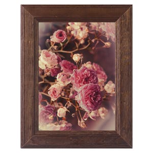 Serie di tre stampe fotografiche floreali su carta fine art: Rose. Un tocco di magia per la tua casa.