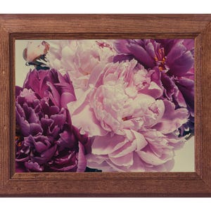 Stampa fotografica floreale su carta fine art: Peonie n. 1