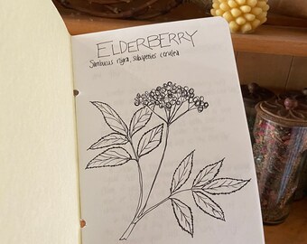 Little Herb Booklet - Elderberry and Plantain