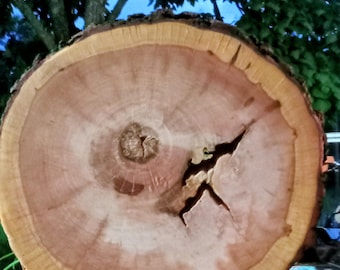 X-Large Cherry Wood Slice Centerpiece, Live Edge Wood Decor, Craft Supplies