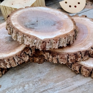 Könnte beinhalten: Eine Sammlung natürlicher Holzscheiben mit rauen, strukturierten Rindenkanten. Die kreisförmigen Stücke variieren in der Größe und zeigen eine Reihe von braunen und beigen Farbtönen, die die Maserung des Holzes hervorheben. Diese rustikalen Holzscheiben eignen sich für Bastelprojekte.