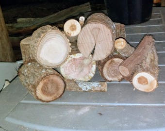 Mini Wood Logs for Crafts, Home Decor, Wedding Decorations (20-30)