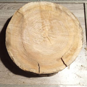 May include: A circular cross-section of a tree trunk, displaying the annual growth rings and natural cracks. The light brown wood slice has a rustic appearance, with variations in colour and texture. The wood's age and character are evident. A natural product.