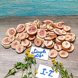 1 &quot;-2&quot; Zedernholz Scheiben