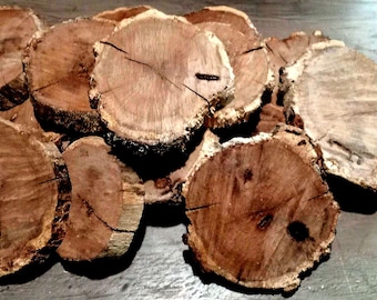 15 oak wood slices for crafts,painting,seasonal crafts ,home decor,wedding decorations,etc.