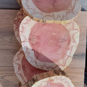 May include: Several cross-sections of a tree trunk, showcasing the natural wood grain and color variations. The center of each slice is a vibrant reddish-pink, surrounded by lighter, cream-colored wood. The rough bark edges add texture to the rustic aesthetic.
