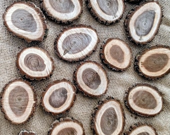 3"-4" black walnut wood slices - diy crafts,painting,wedding decor,rustic farmhouse decor