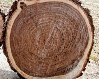 10"-11" Black Walnut Wood Slice, 1-2" Thick, Live Edge, DIY Centerpiece