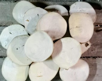Natural Ash Wood Slices (4"-6") for Crafts, Painting, Wood Burning Projects